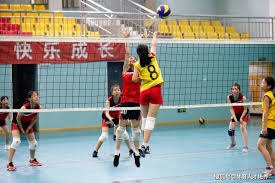 林诗栋无缘男单决赛